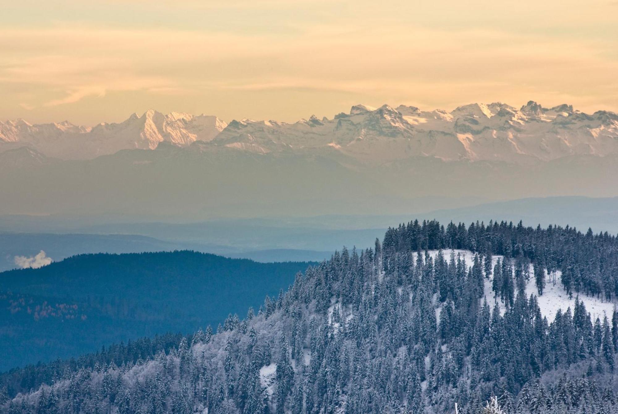 Ferienwohnung Residenz Grafenmatt Abendsonne Feldberg  Exterior foto