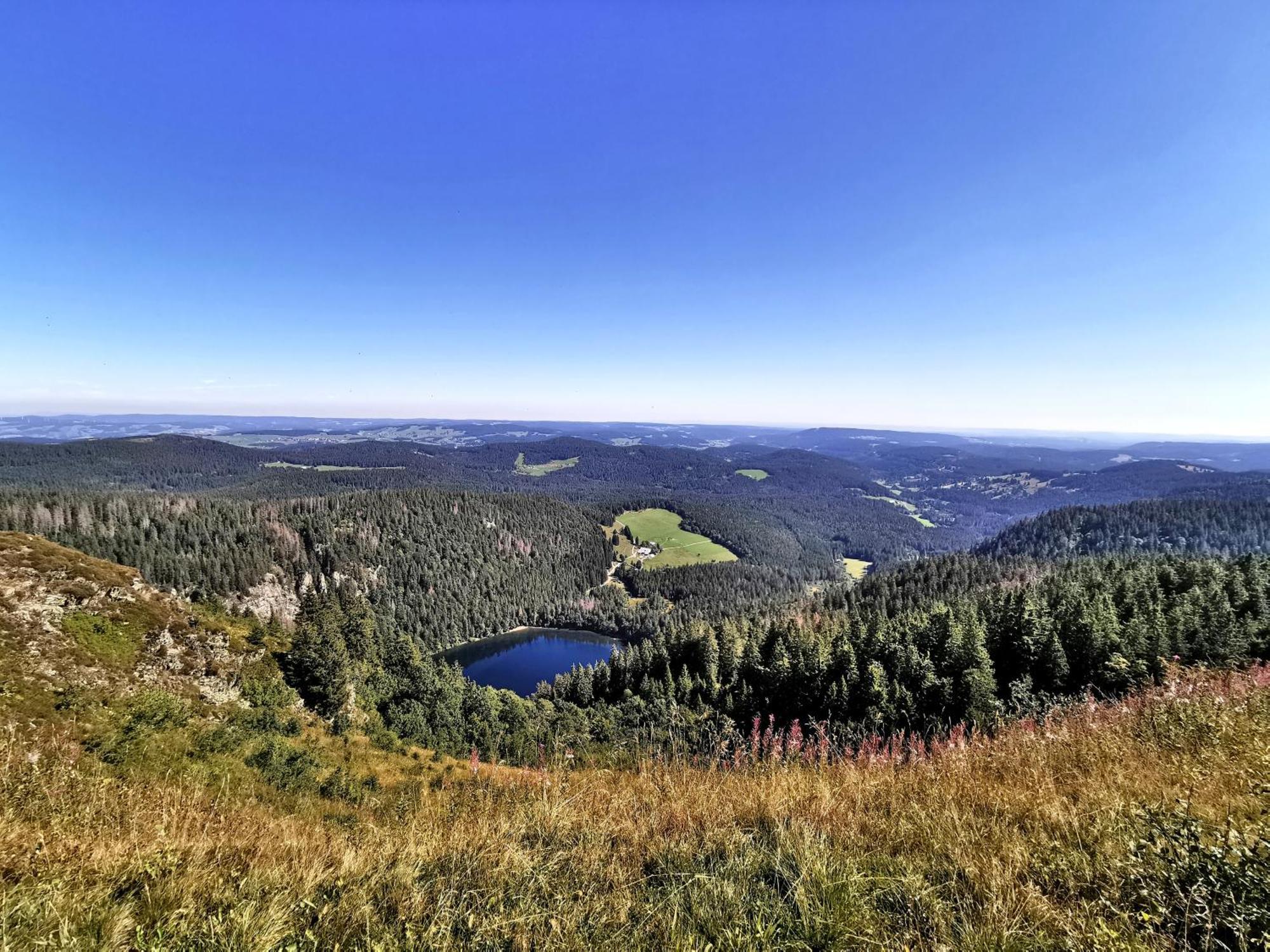 Ferienwohnung Residenz Grafenmatt Abendsonne Feldberg  Exterior foto